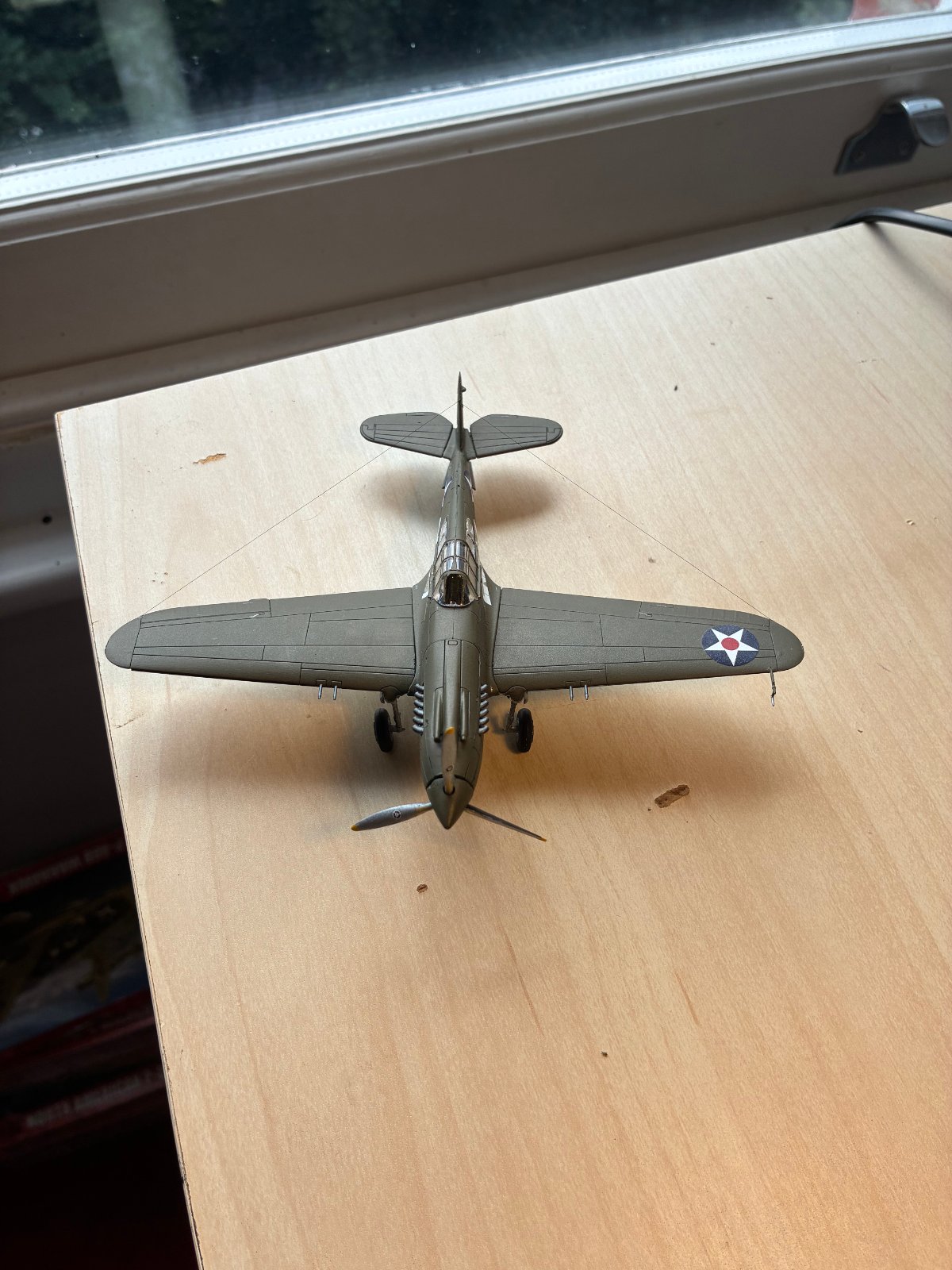 Curtiss Warhawk, photo 2 of 4
